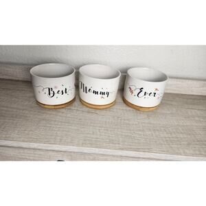 Creative Plants Pots White Ceramic Vase for Flower Sedum Succulent- Pack of 3‎